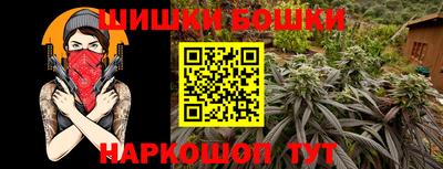 бошки Будённовск