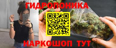 бошки Будённовск