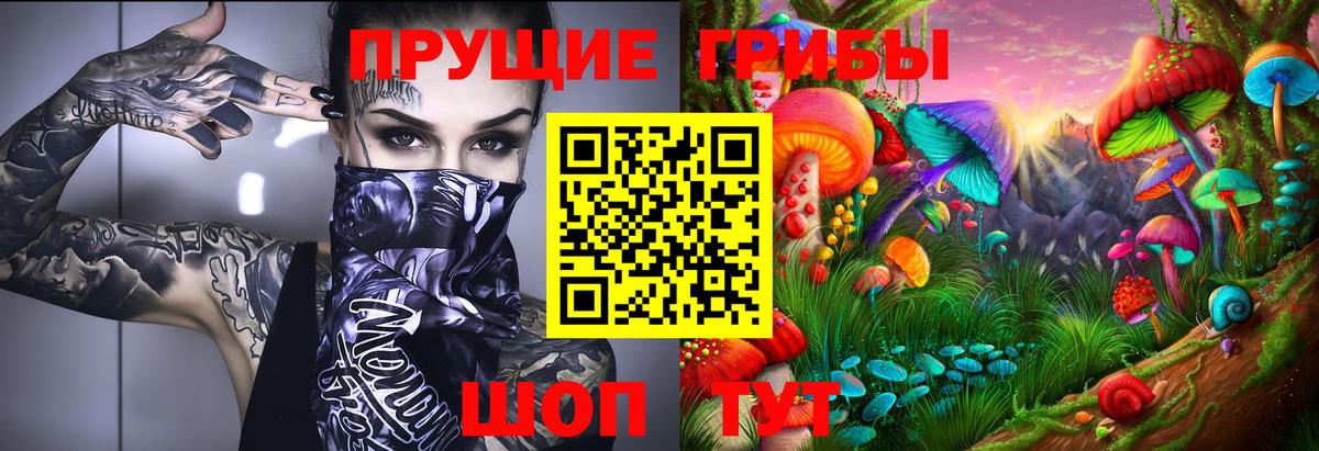Галлюциногенные грибы Cubensis  Галлюциногенные грибы MAGIC MUSHROOMS  Вход с VPN  Пятигорск 