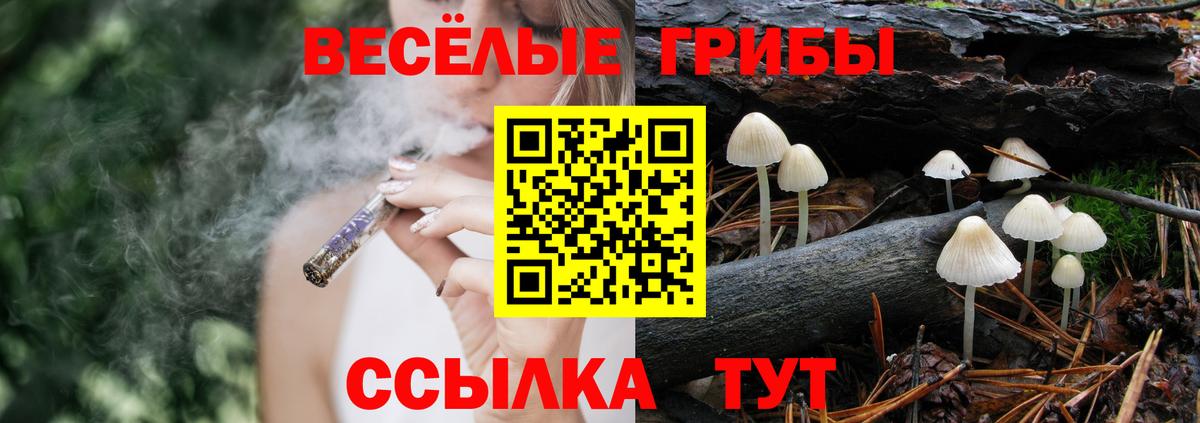 Псилоцибиновые грибы Cubensis Пятигорск