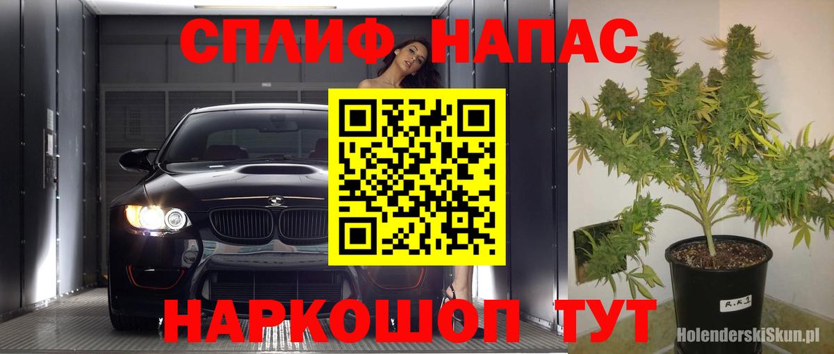 Шишки марихуана AK-47  Бошки марихуана тримм  Вход с VPN  Марихуана семена  Марихуана THC 21%  Пятигорск 